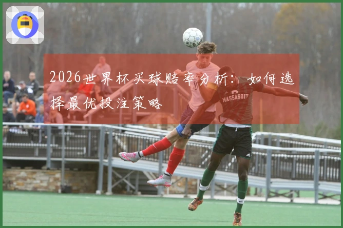 2026世界杯买球赔率分析：如何选择最优投注策略