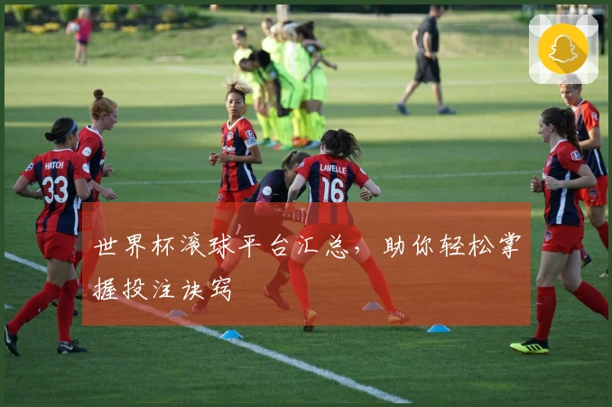 世界杯滚球平台汇总,助你轻松掌握投注诀窍