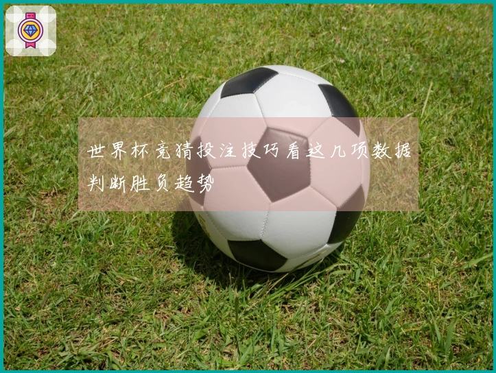 世界杯竞猜投注技巧看这几项数据判断胜负趋势