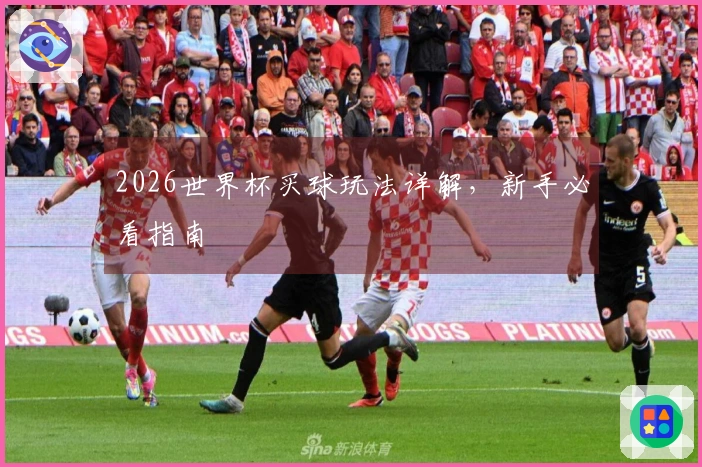 2026世界杯买球玩法详解，新手必看指南