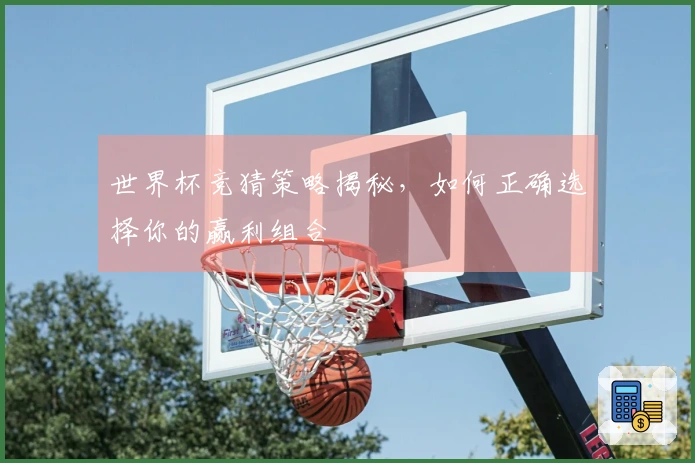世界杯竞猜策略揭秘，如何正确选择你的赢利组合