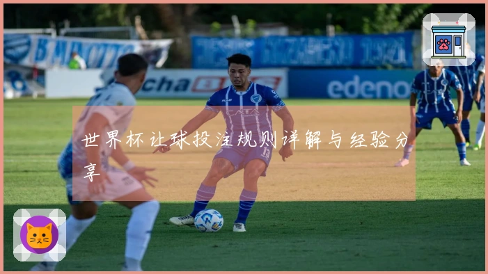 世界杯让球投注规则详解与经验分享