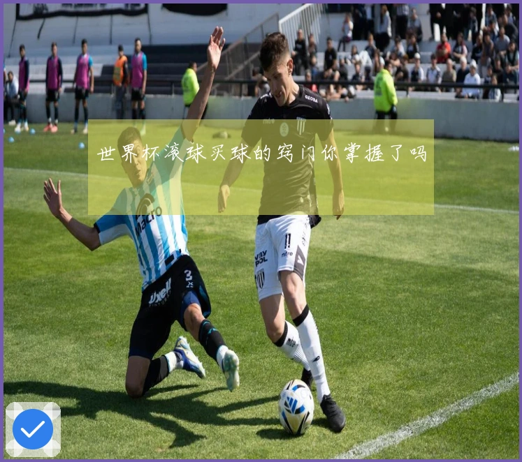 世界杯滚球买球的窍门你掌握了吗