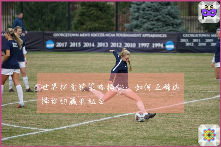 世界杯竞猜策略揭秘，如何正确选择你的赢利组合
