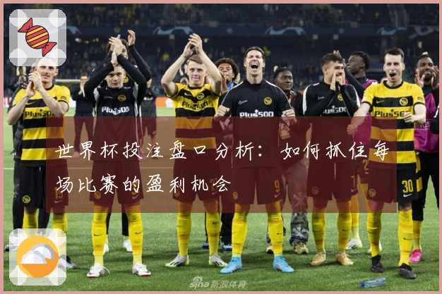 世界杯投注盘口分析：如何抓住每场比赛的盈利机会