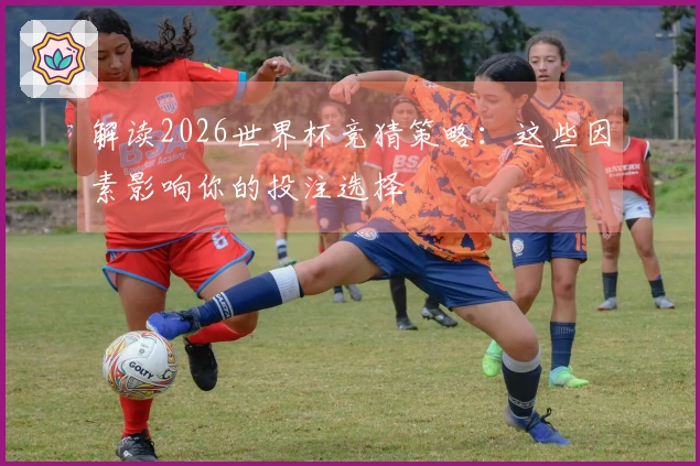 解读2026世界杯竞猜策略：这些因素影响你的投注选择