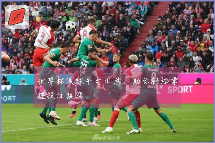 世界杯滚球平台汇总，助你轻松掌握投注诀窍